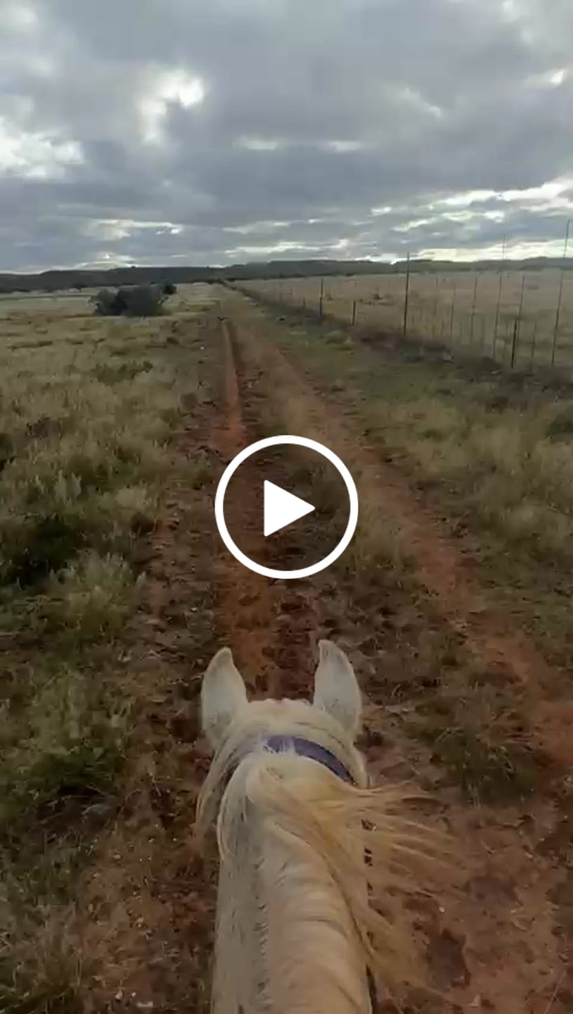 Customer video review of Flexcare Equine (Joint Supplement For Horses)