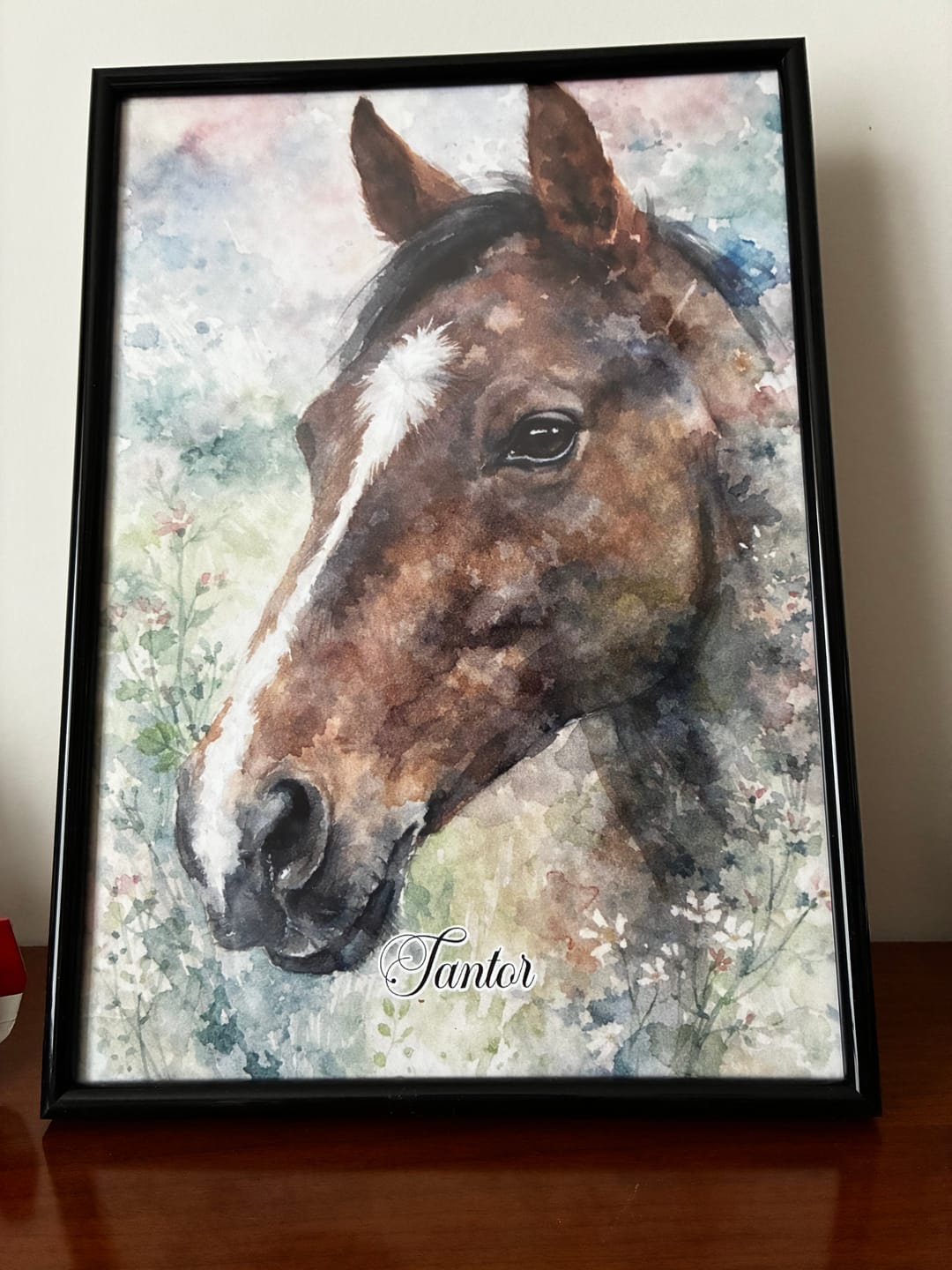 Customer photo review of Aquarelle - Poster personnalisé