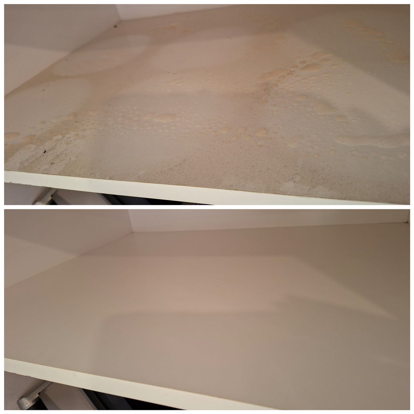 Customer photo review of SHYN Degreaser