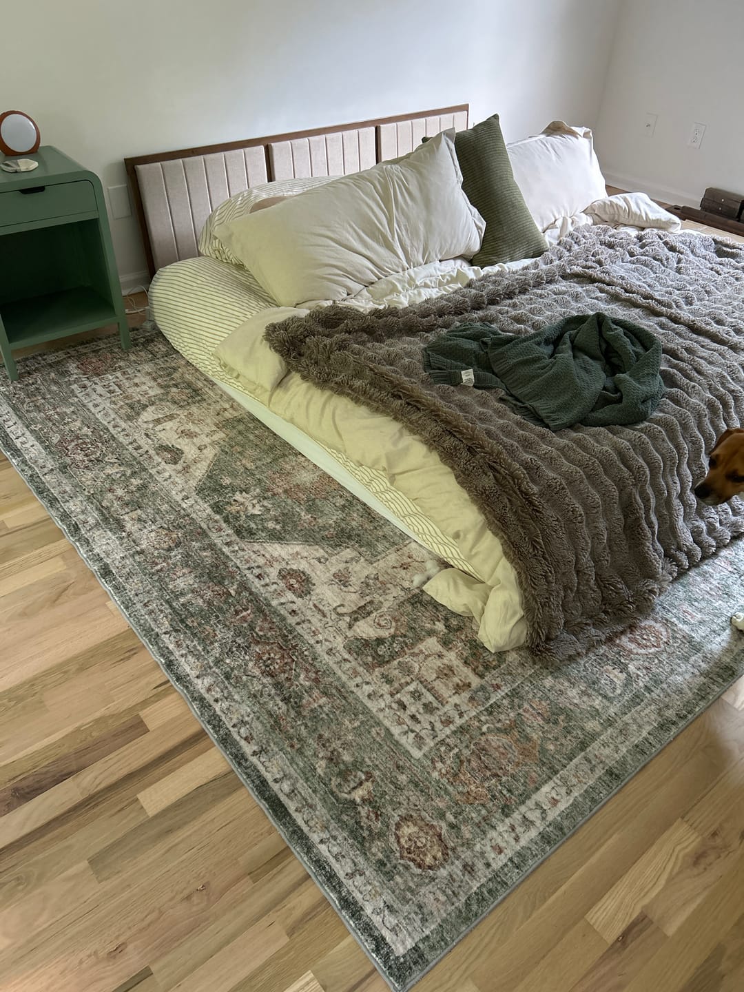 Customer photo review of Selene Washable Area Rug - Green