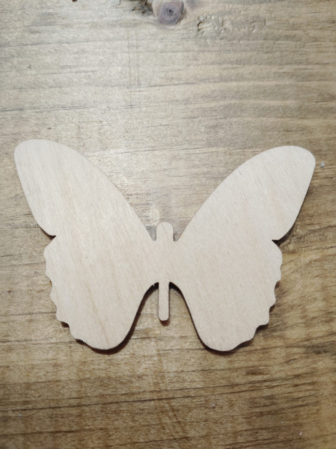 Customer photo review of Unfinished Wood Butterfly Silhouette - Craft- up to 46" DIY