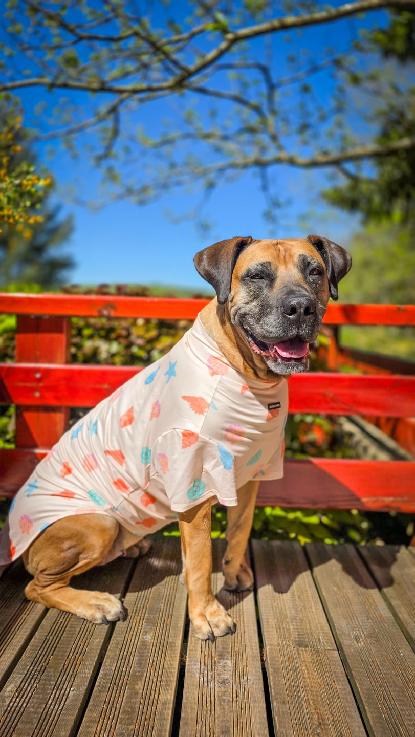 Customer photo review of Sunblock Dog T-Shirt - Seashell