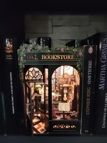 Customer photo review of DIY Book Nook kit - Owl Bookstore