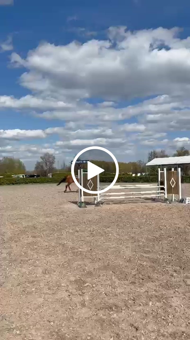 Customer video review of Contour Breech