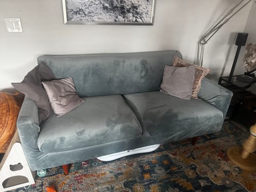 Customer photo review of Sofa Covers With Separate Seat Cushions (Spandex Print)