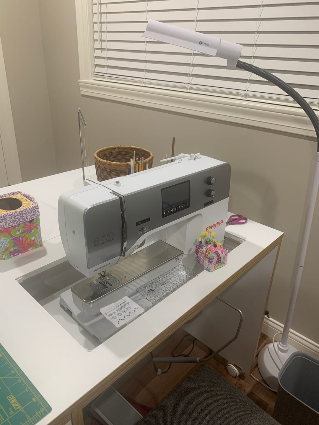 Customer photo review of Horn of America Custom Sewing Machine Insert