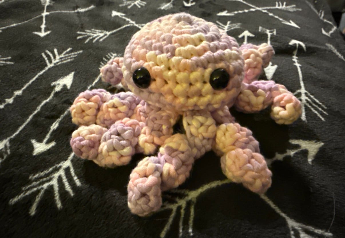 Customer photo review of Replacement Octopus Pattern Card (Free in Cart for Replacement)