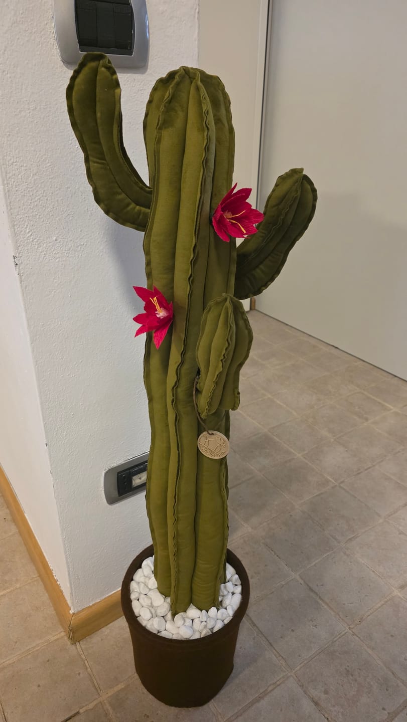 Customer photo review of Big cactus in velluto verde scuro brillante -  altezza 100 cm - DISPONIBILE SU ORDINAZIONE- TEMPO DI CONSEGNA: 3 SETTIMANE DATA ORDINE - completo di  fiori (staccabili) SPEDIZIONE GRATUITA