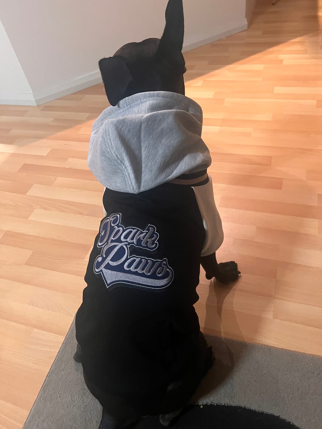 Customer photo review of Dog Varsity Jacket - Black