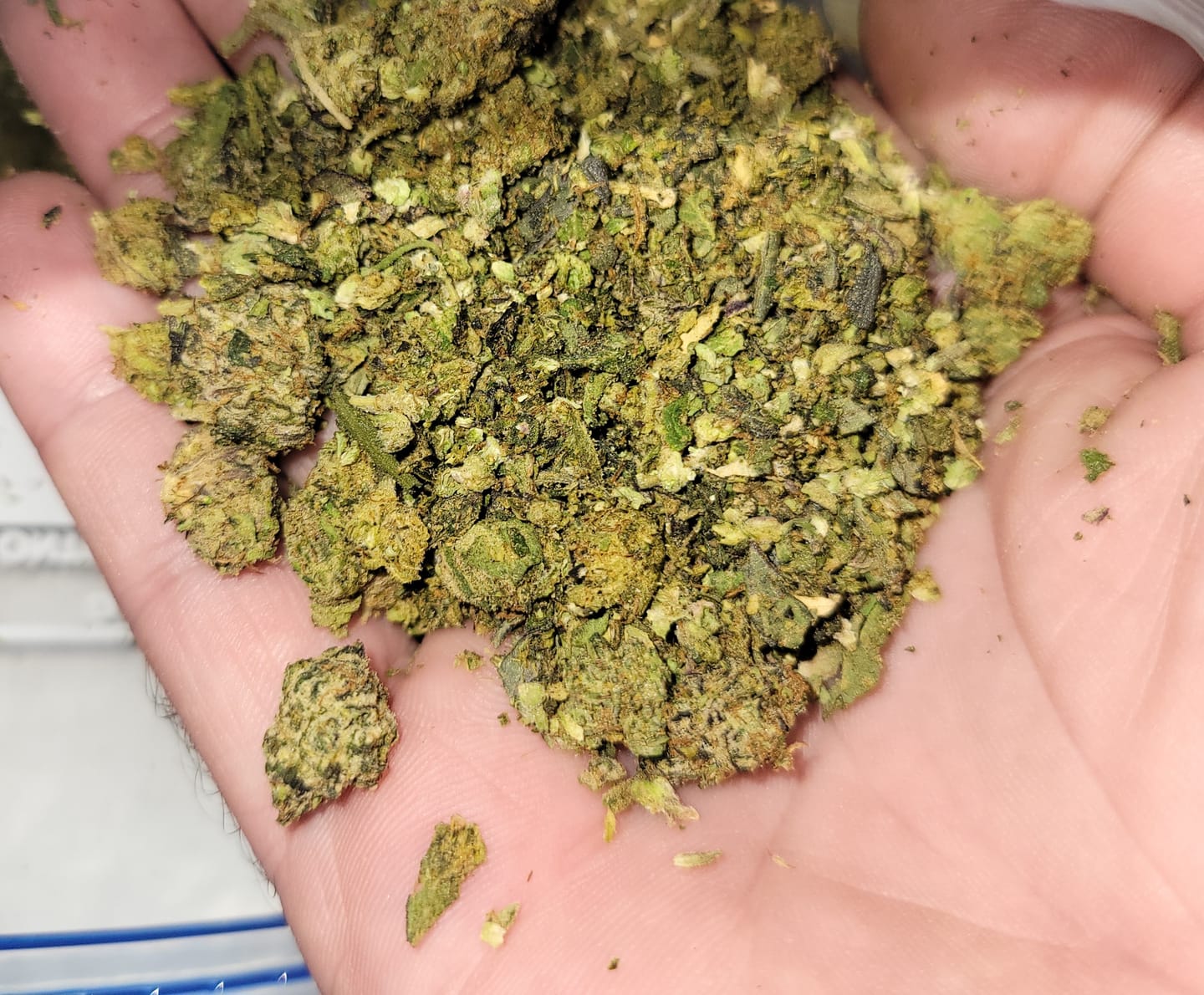 Customer photo review of Bulk House Blend Exotic Shake - Quarter Pound