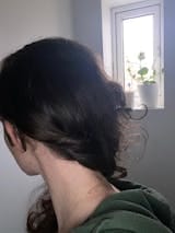 Customer photo review of The French Hairpin