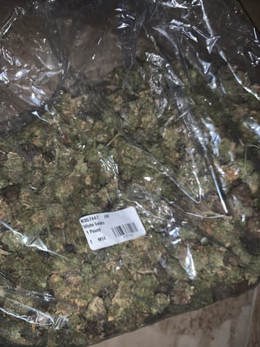 White Gelato - Bulk - Indica photo review