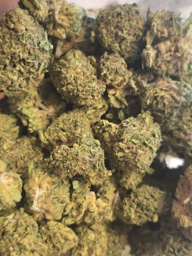Customer photo review of THCA Queen
