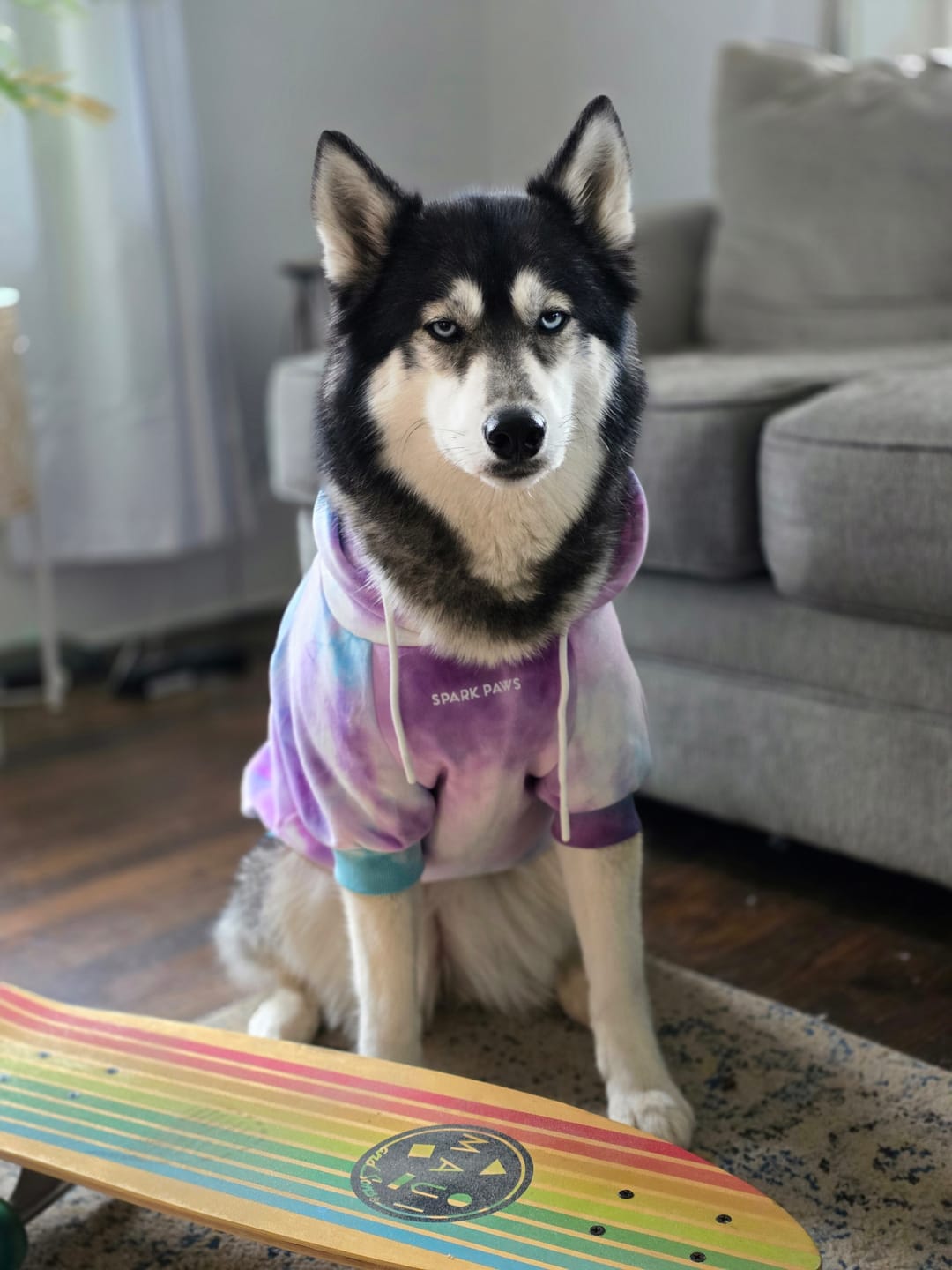 Customer photo review of Velvet Dog Hoodie - 90s Retro
