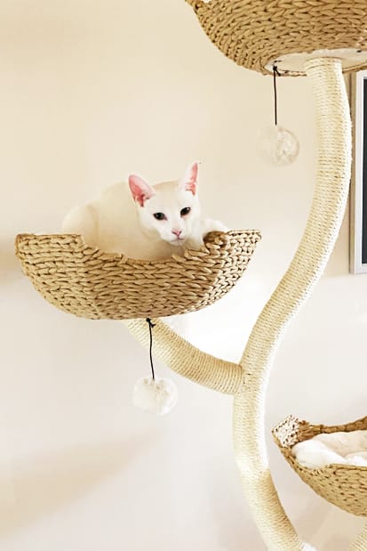 Customer photo review of MICHU Ivy Cat Tower Deluxe 4-Tier Designer Tall Cat Tree