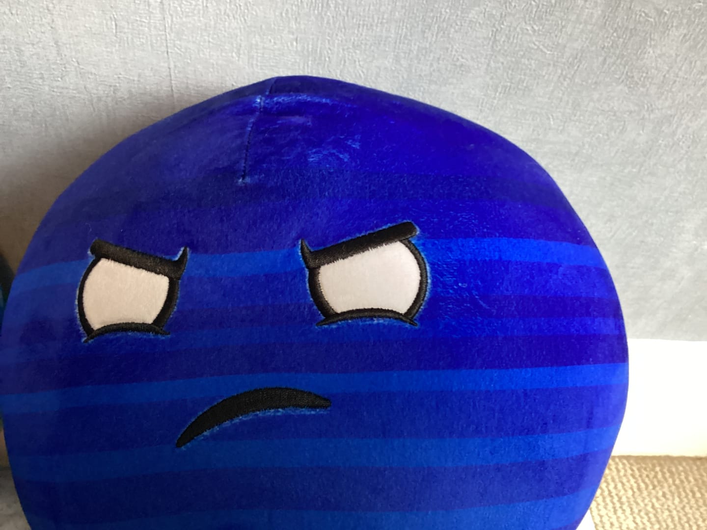 Customer photo review of The SolarBalls Planet X Plush