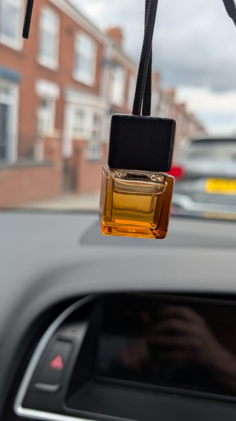 Customer photo review of The Shakespeare Car Diffuser