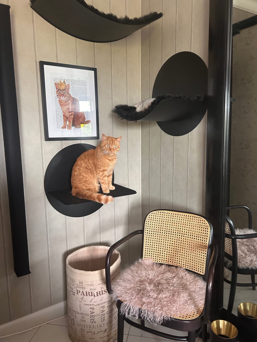 Customer photo review of STYA Katzen Kletterwand | Set Essence | Kratzstamm KS150 + XXL Hängematte WL170