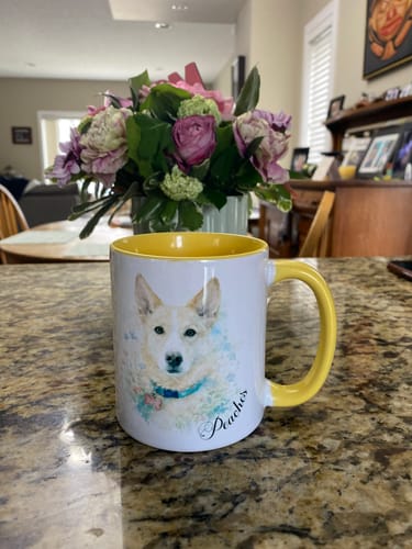 Customer photo review of Prio+