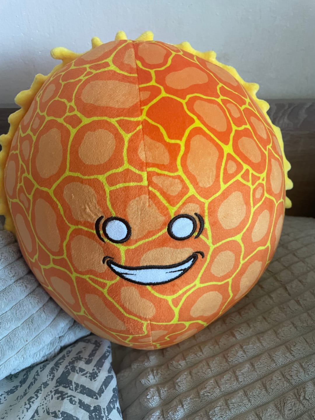 Customer photo review of The SolarBalls Sun Plush