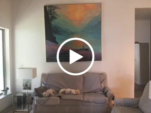 Customer review photo for Colorful Painting #CA278