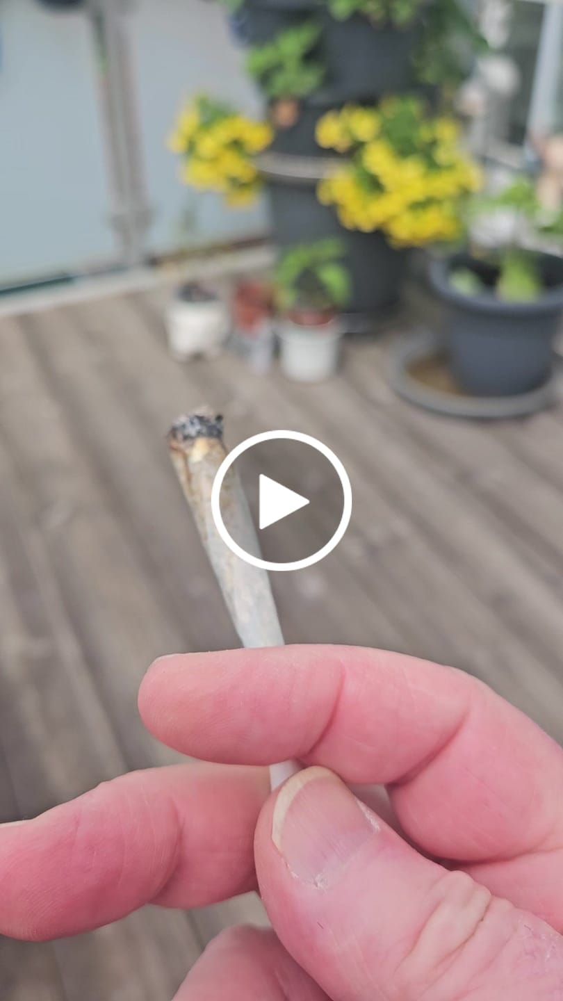 Customer video review of 🍃 Blütenmix - POWER LVL: 4/5