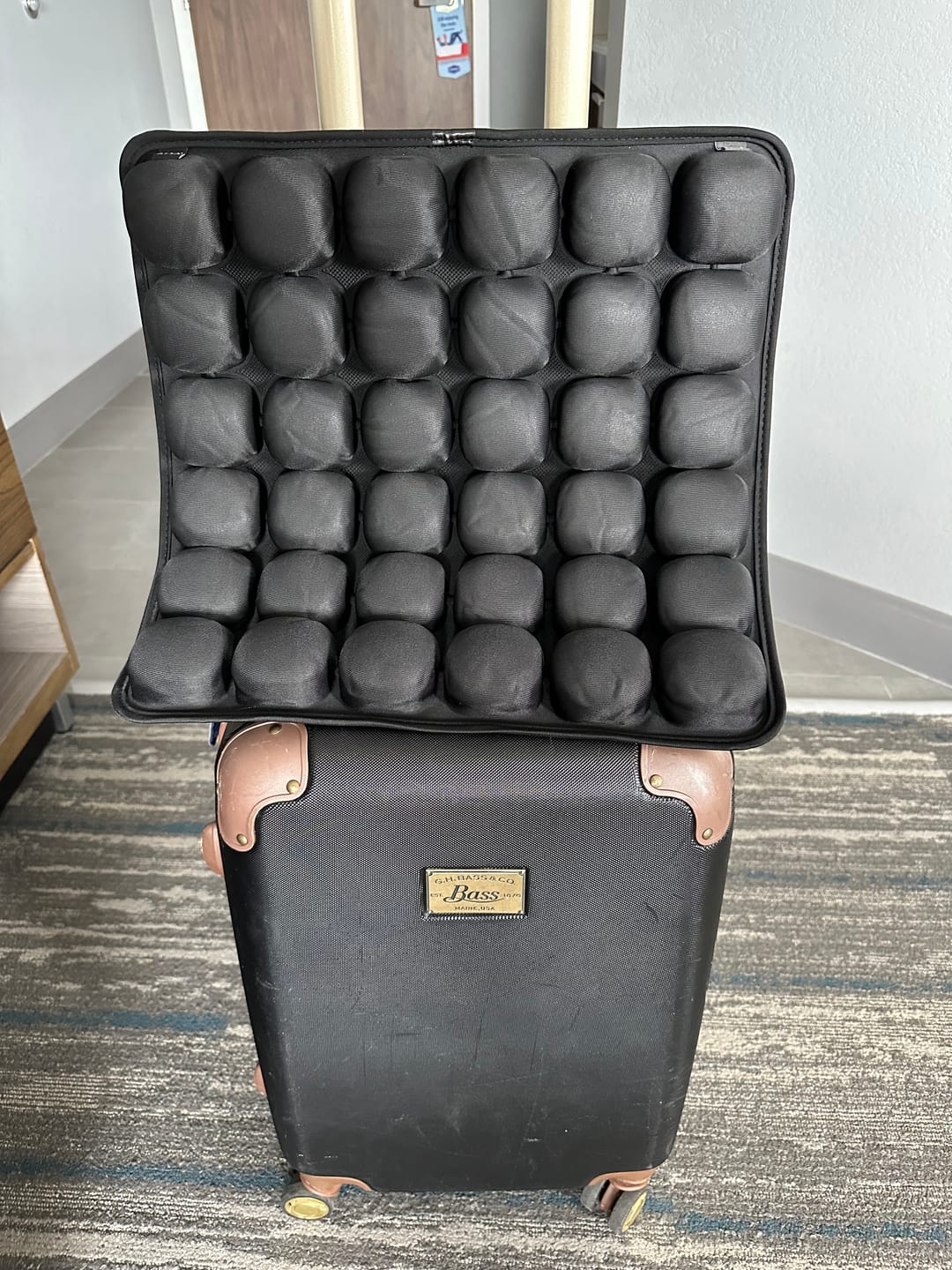 Customer photo review of Travel Cushion
