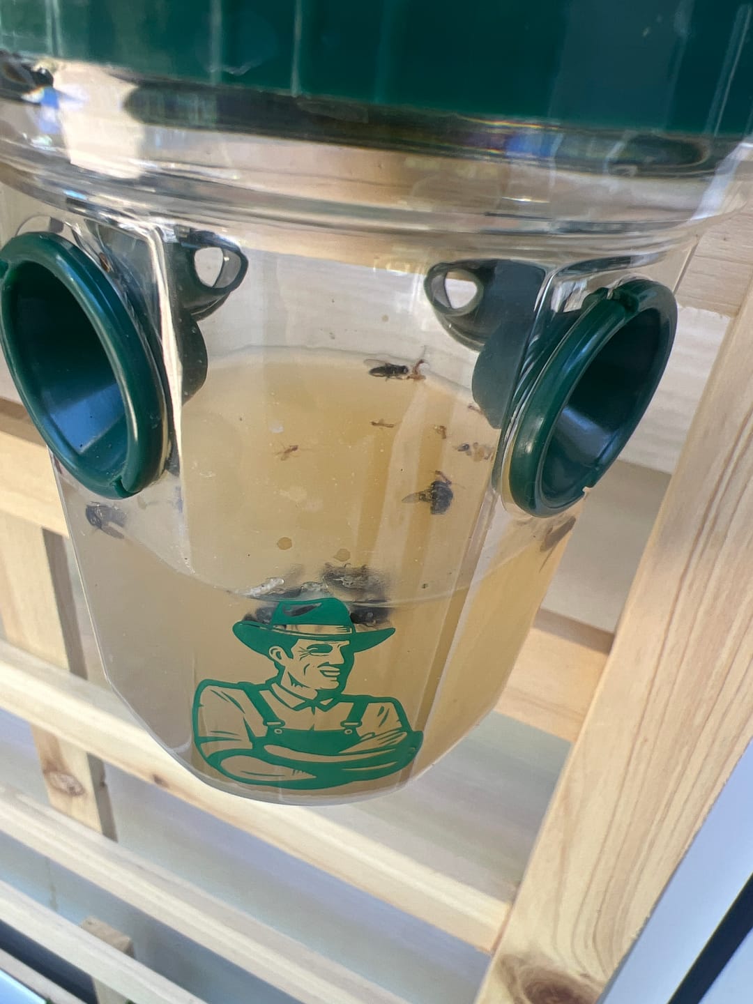 Customer photo review of Mosquito TNT 2.0