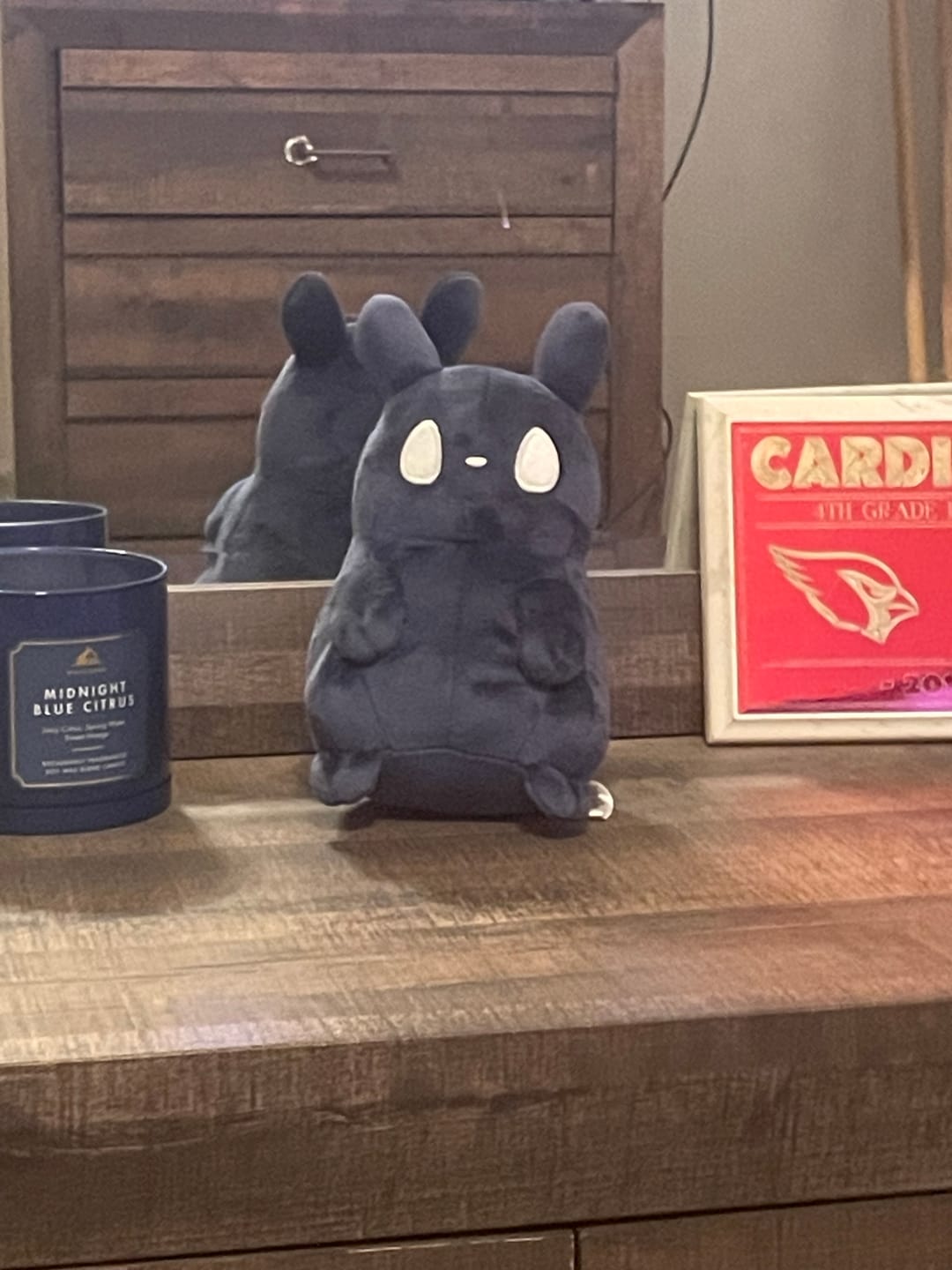 Customer photo review of Rain World - The Watcher Slugpup Plush