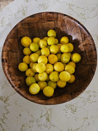 Customer photo review of Organic Key Limes 3 lbs