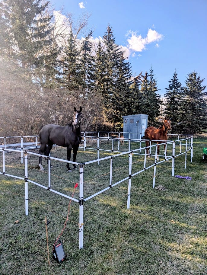 Customer photo review of Ready Made Portable Electric Horse Corral Fencing: (Electric EconoLine 10+2=12 Panels; 2 Rails)
