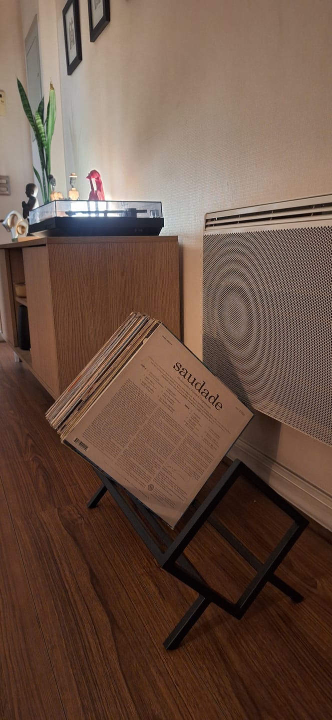Customer photo review of Porta Vinilos 50 │LUXE Metal BLACK