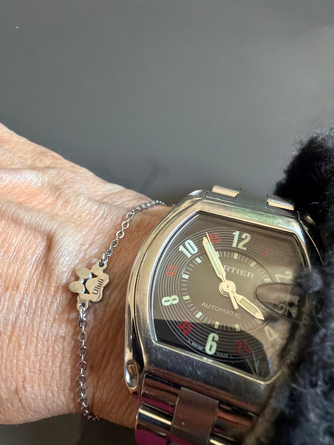 Customer photo review of My Lovin' Pets®