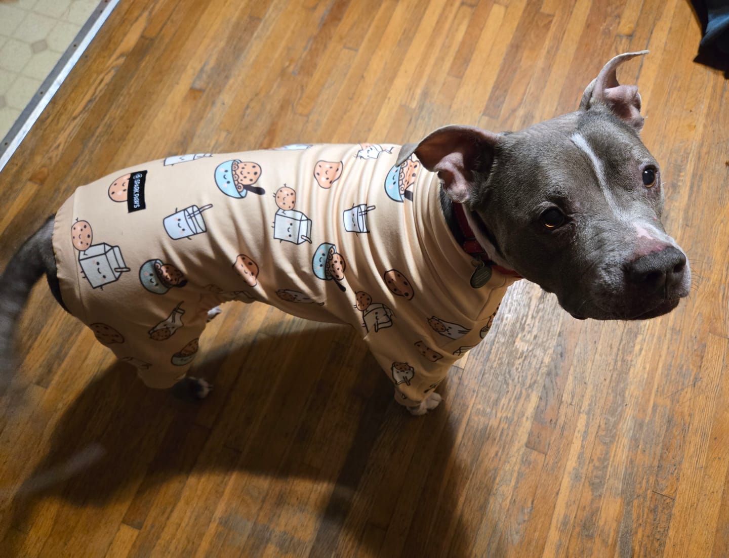 Customer photo review of Dog Pajama - Cookies and Milk