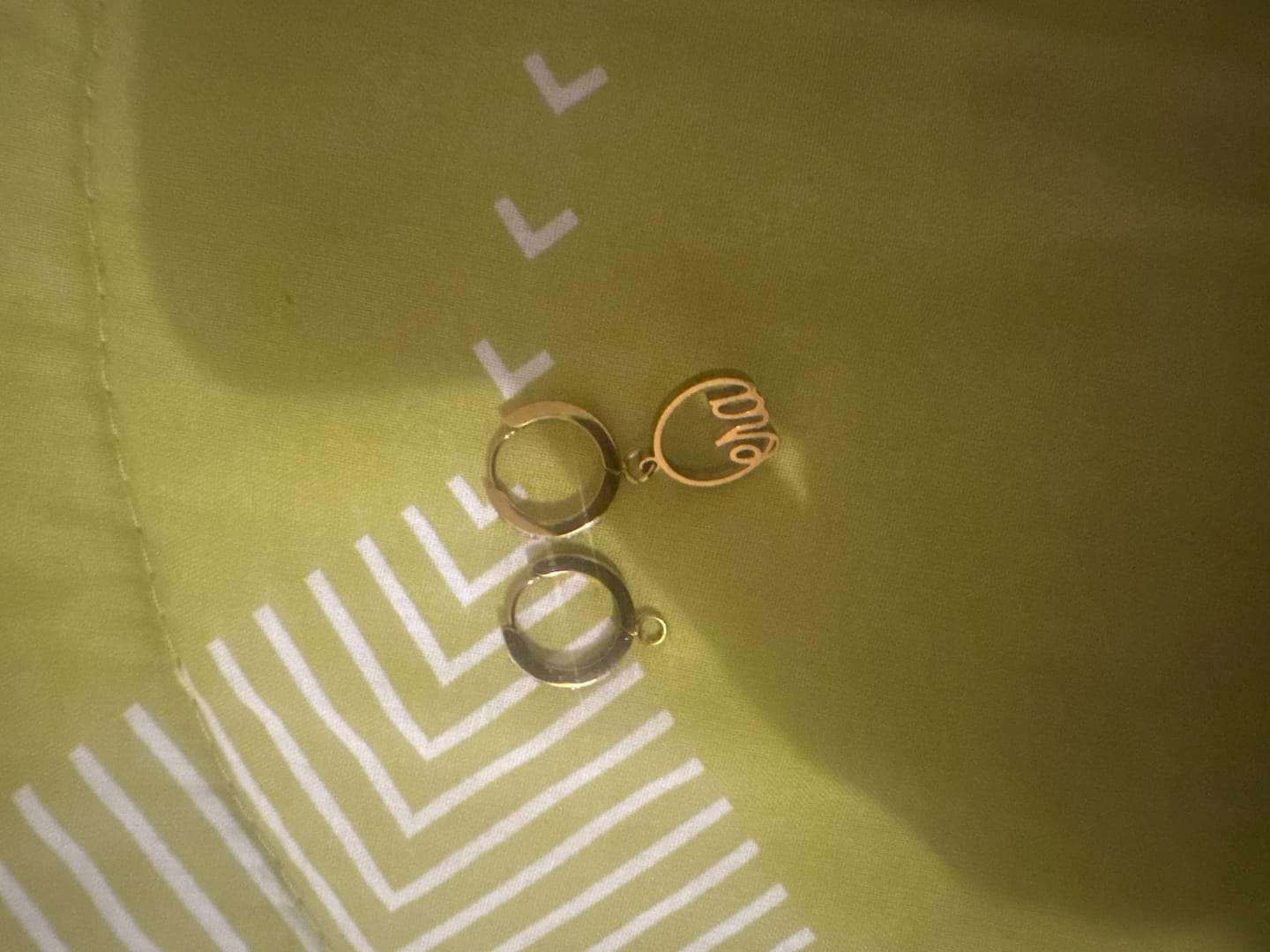Customer photo review of Gold Precious Logo Earrings