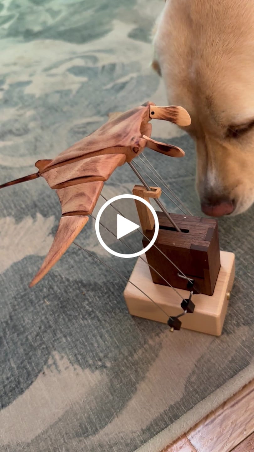 Customer video review of MarinerPoet™ Handcrafted Wooden Manta Ray Automaton