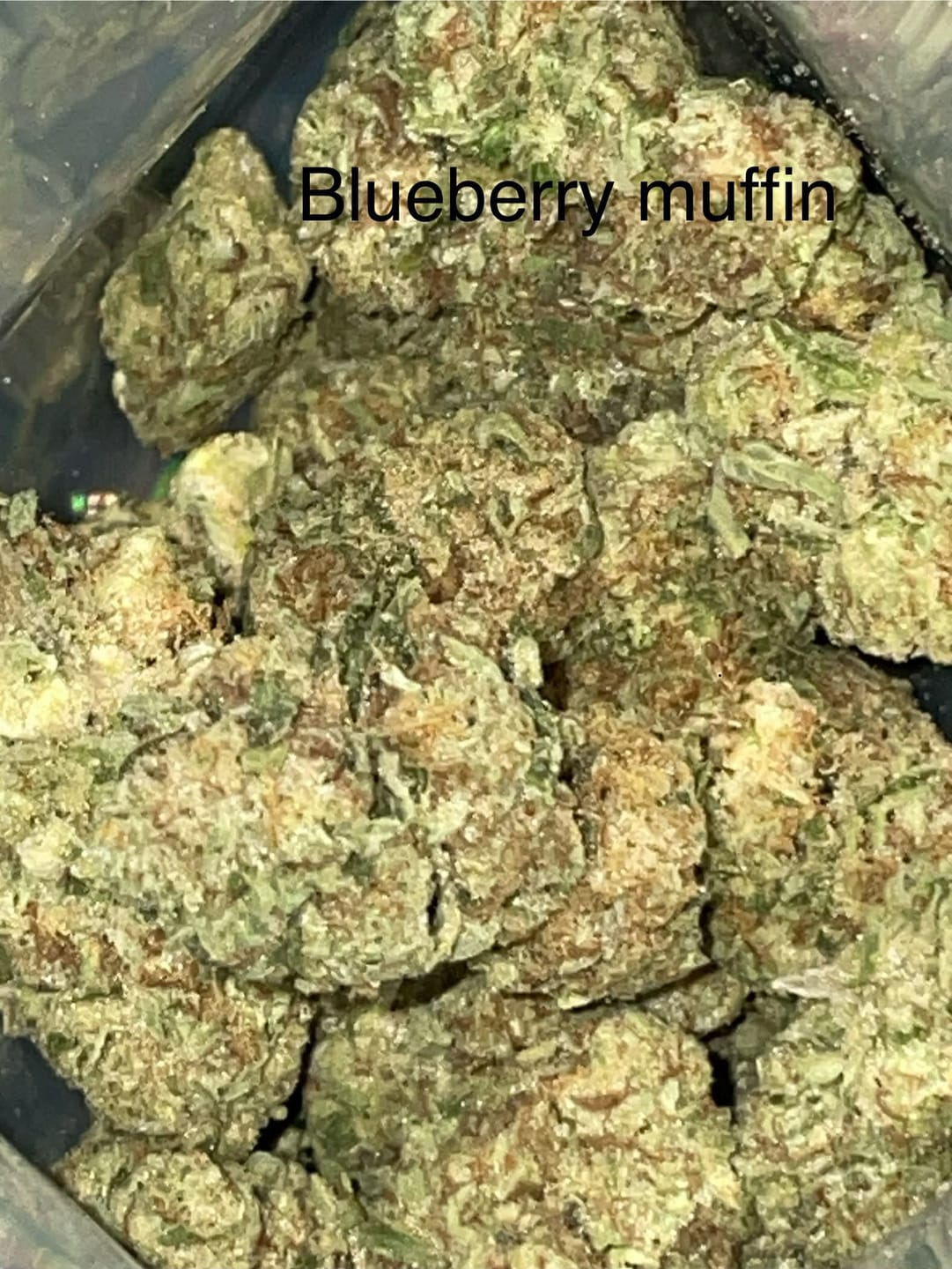 Customer photo review of Blueberry Muffins Minis - Bulk Minis - Indica