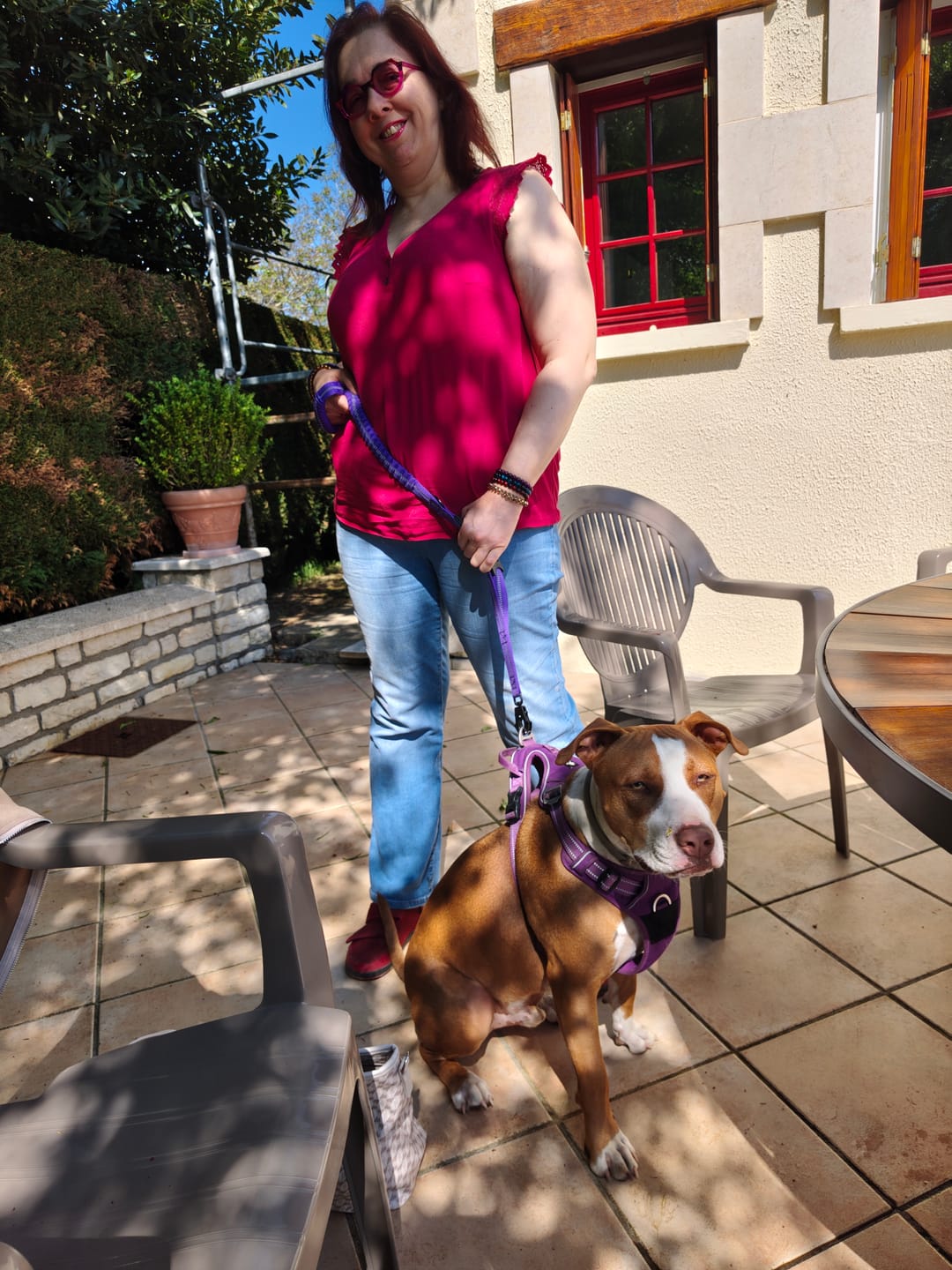 Customer photo review of Laisse amortisseur pour chien ShockSafe - Élastique & solide