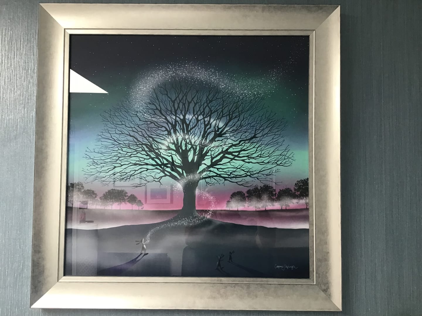 Customer photo review of Dreamtime (Silver Version) By Catherine Stephenson