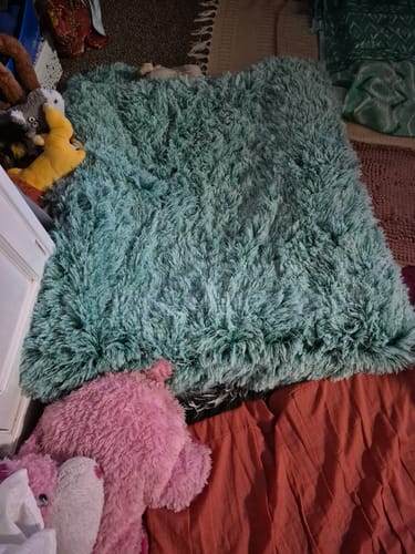 A customer's soft, teal Pet Calming Blanket spread out on the floor next to a pink toy.