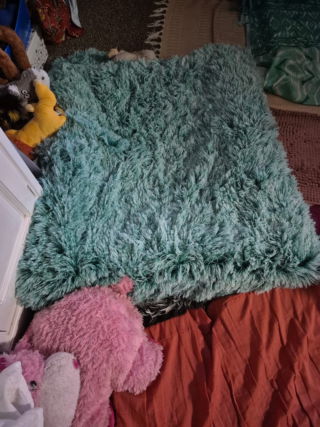 Customer photo review of Pet Calming Blanket
