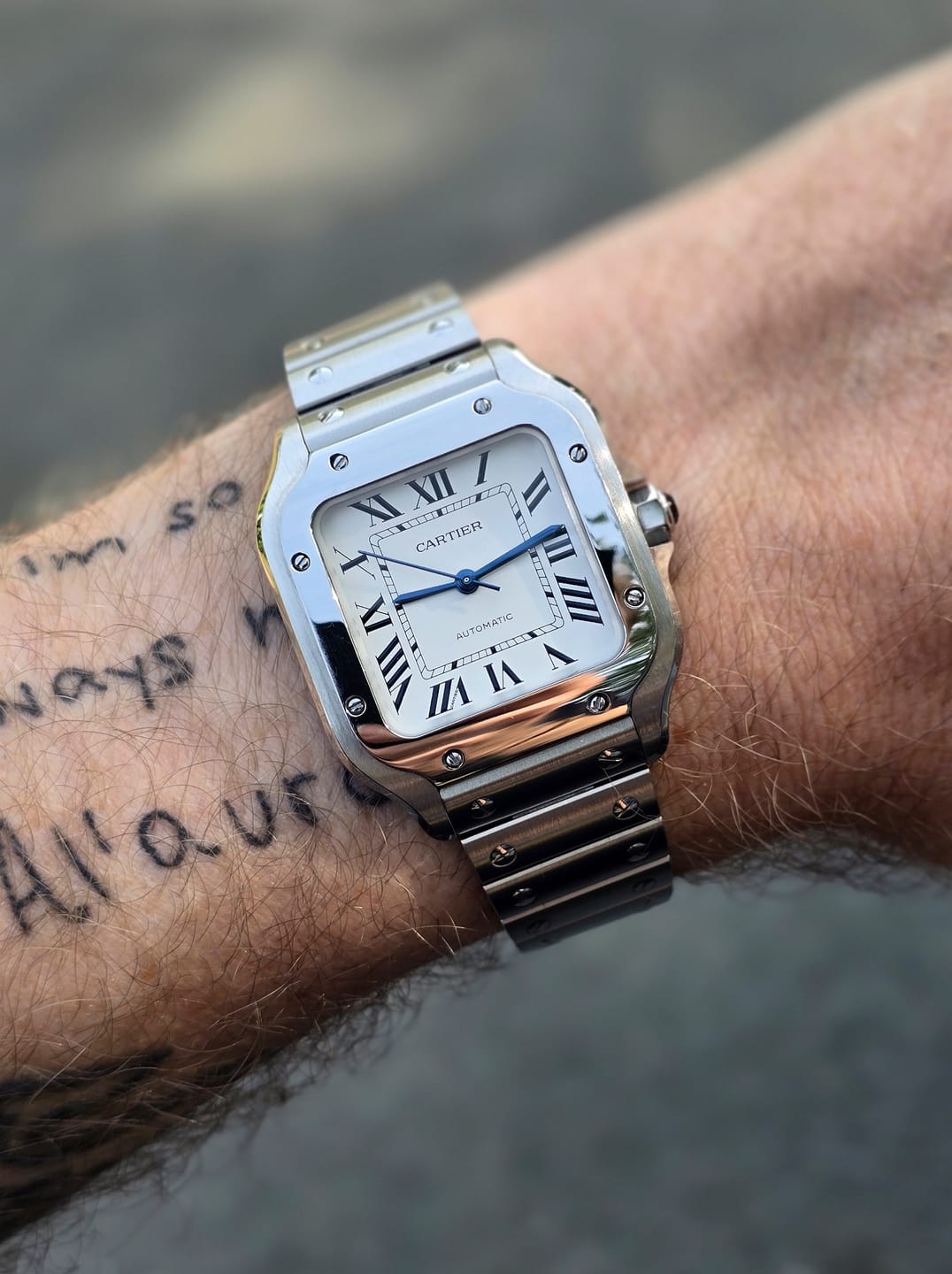 Customer photo review of Watch Bezel/Case Back Screws for Cartier Santos 4072/4075 L/M Watch