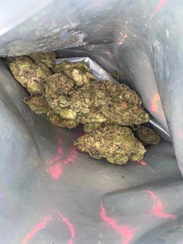 Customer photo review of Toad Venom - Indoor - 14 Grams - Indica