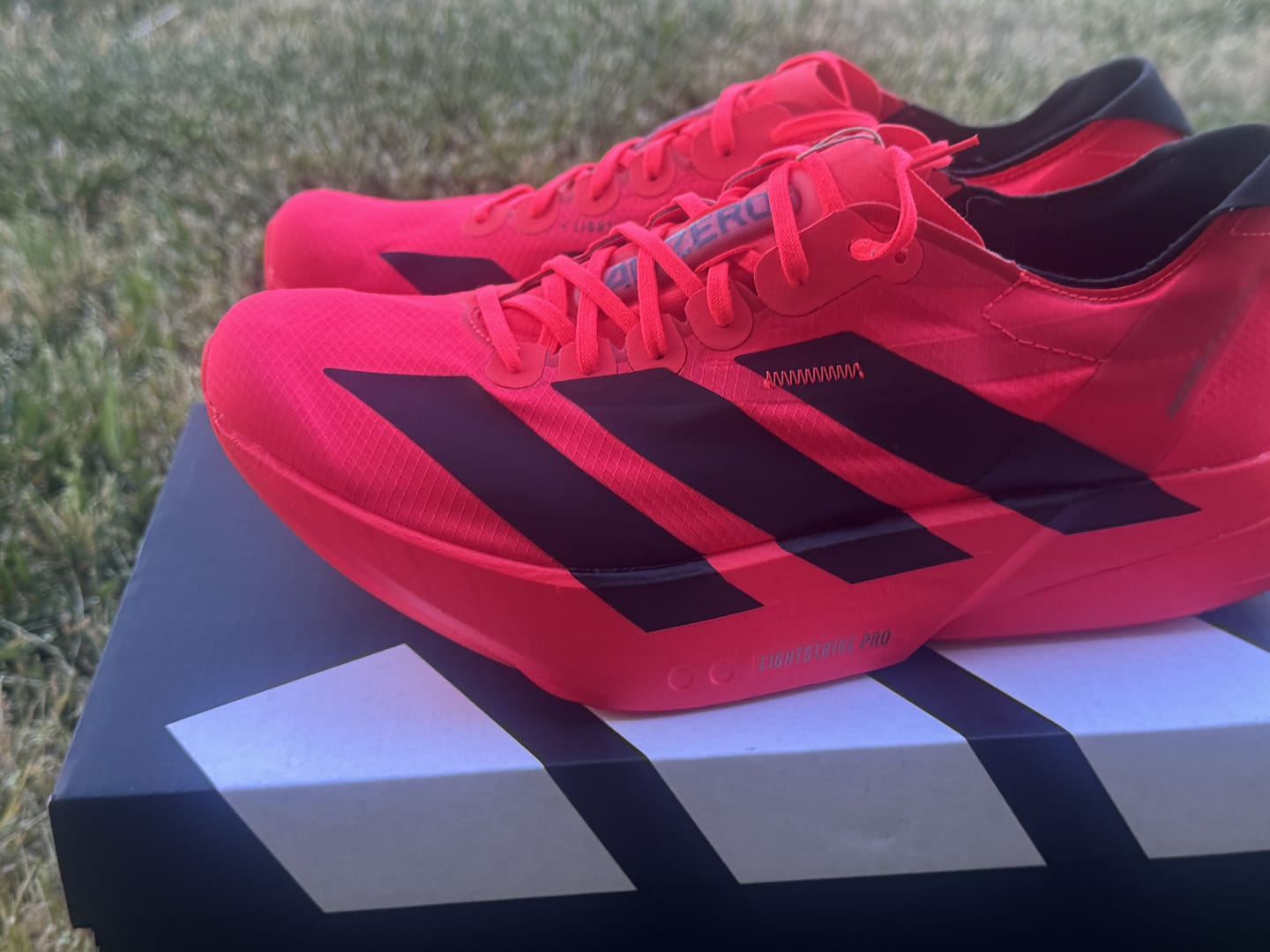 Customer photo review of Adizero Evo SL Pure Ruby