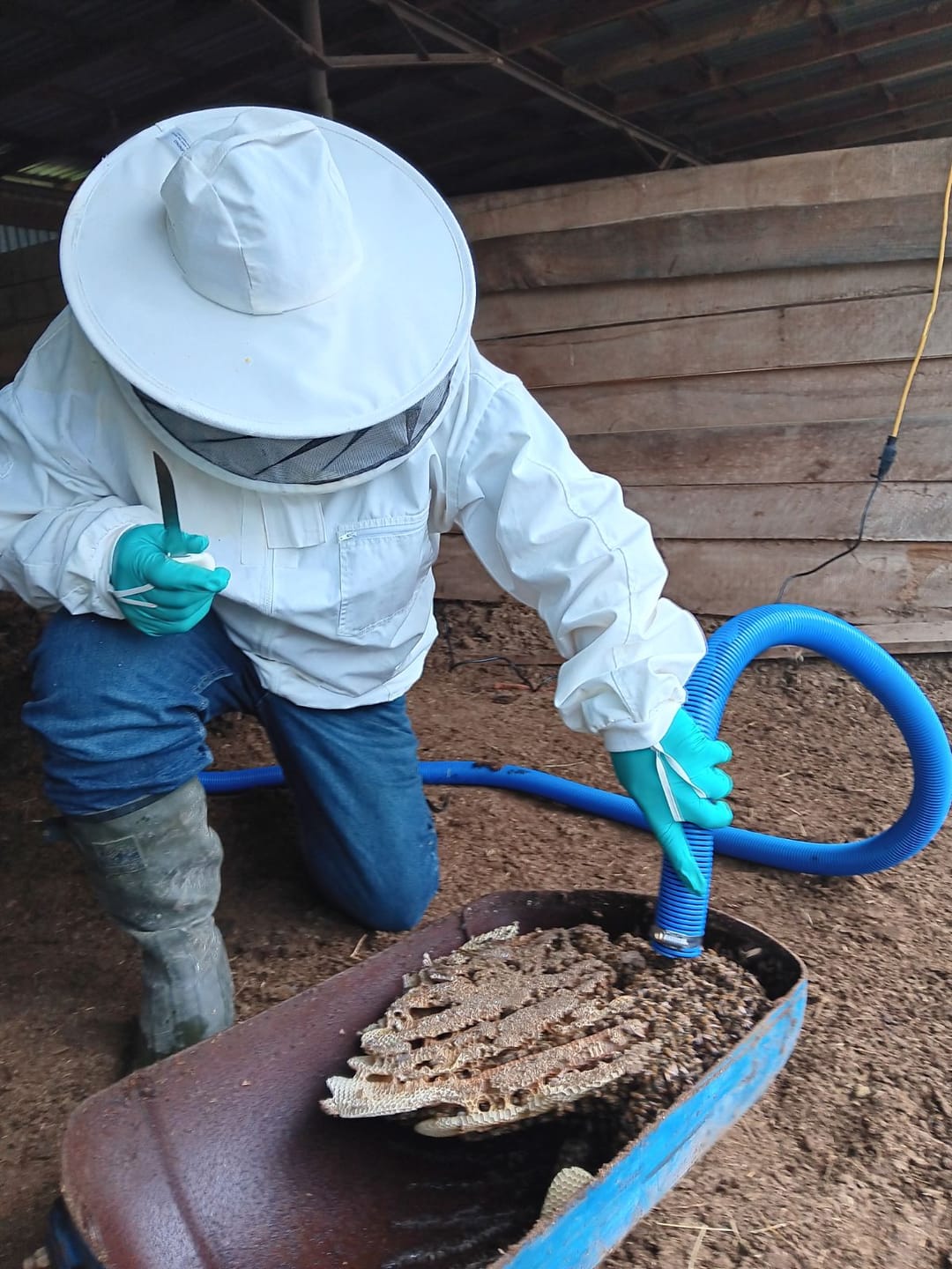 Customer photo review of Colorado Bee Vac