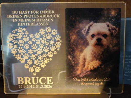 Customer photo review of Fotolampe von deinem Hund oder deiner Katze