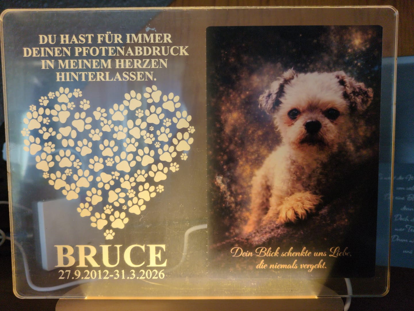 Customer photo review of Fotolampe von deinem Hund oder deiner Katze