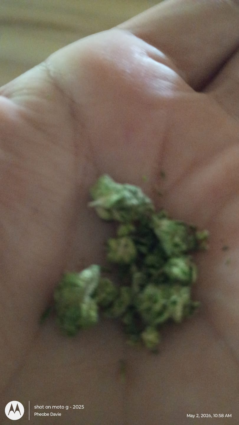 Customer photo review of Bubba OG - Micros - 28 Grams - Indica
