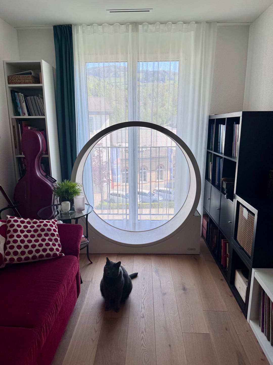 Customer photo review of Elmato Katzenlaufrad Simba