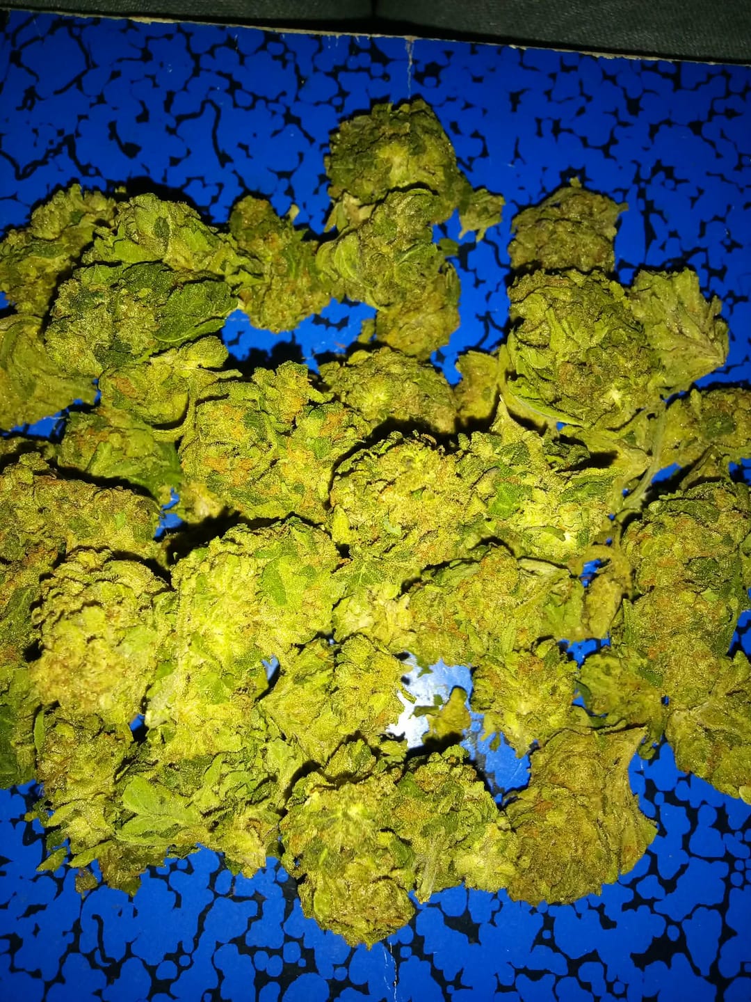 Customer photo review of Biscotti Cake - 28 Grams - Hybrid
